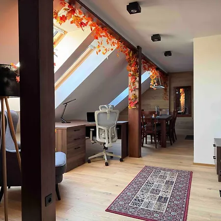 Amerex Apartmán Ostrava