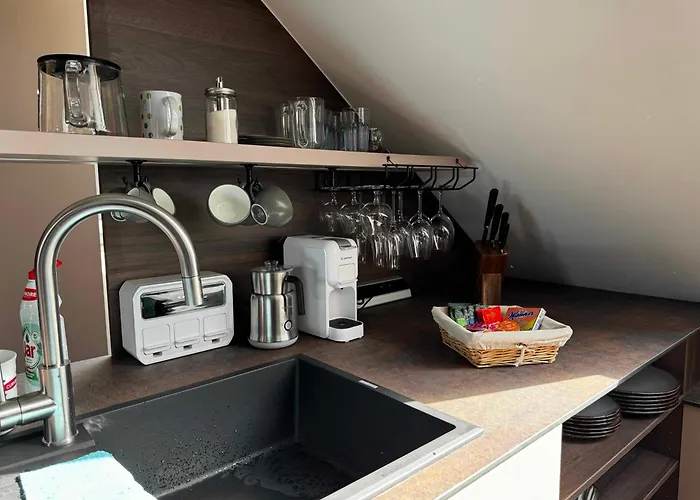 Lägenhet Amerex Ostrava